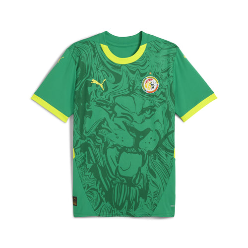Sénégal Maillot Extérieur 25/26